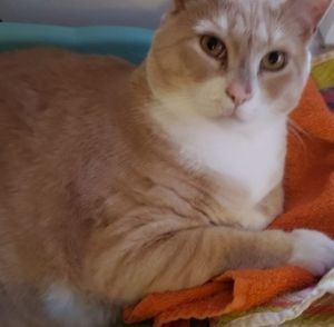 Meet your Posher, Barbara